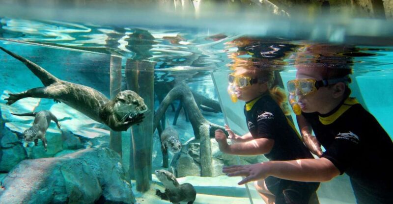 Orlando: Discovery Cove Admission Ticket & Additional Parks - Amenities and Accessibility