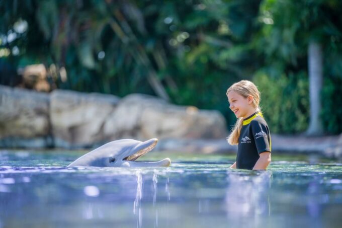 Orlando: Discovery Cove Admission Ticket & Additional Parks - Booking and Cancellation Policy