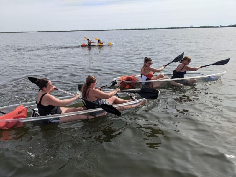 Orlando: Dolphin Clear Kayak or Paddle Board Adventure - Adventure Options and Vessel Selection