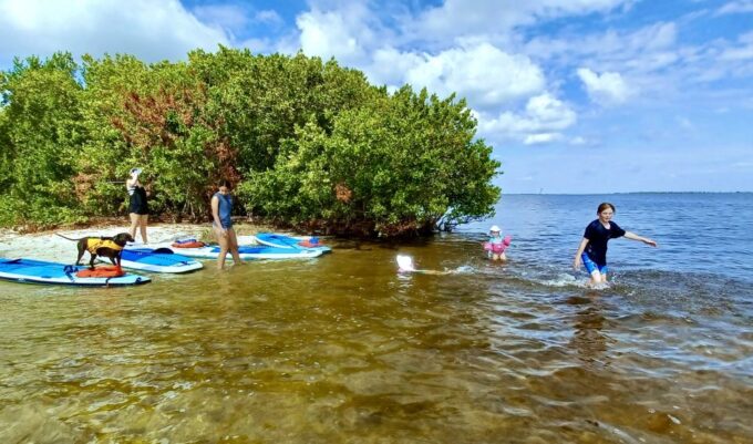 Orlando: Dolphin Clear Kayak or Paddle Board Adventure - Safety Gear and Transportation Information
