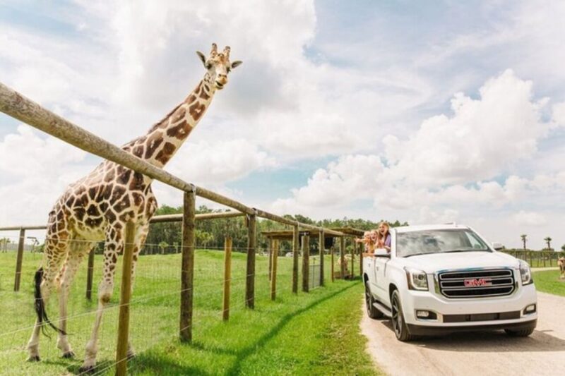 Orlando: Drive-Thru Safari Park at Wild Florida - Pricing and Booking Details