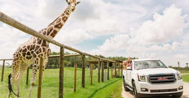 Orlando: Drive-Thru Safari Park at Wild Florida - Duration and Accessibility