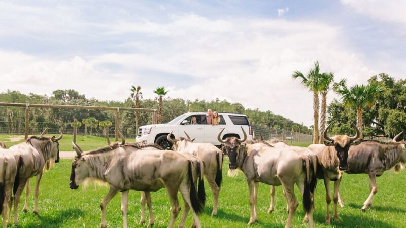 Orlando: Drive-Thru Safari Park at Wild Florida - Whats Included in Admission