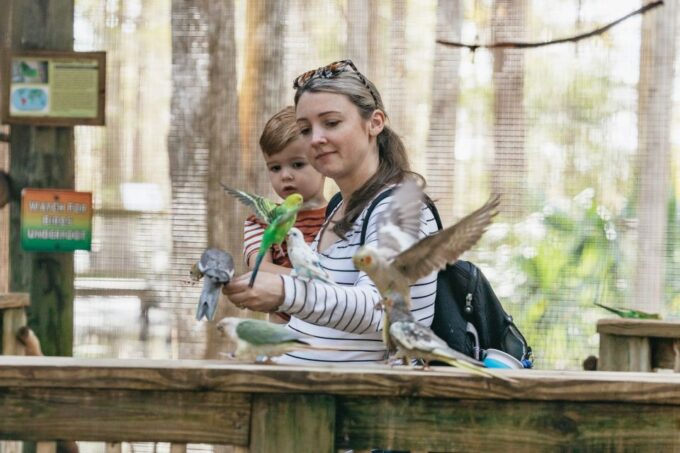 Orlando: Drive-Thru Safari Park at Wild Florida - Customer Ratings and Feedback