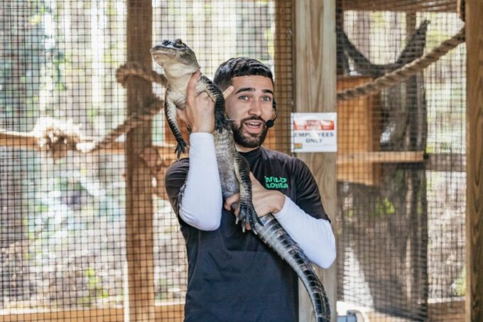 Orlando: Drive-Thru Safari Park at Wild Florida - Standout Visitor Comments