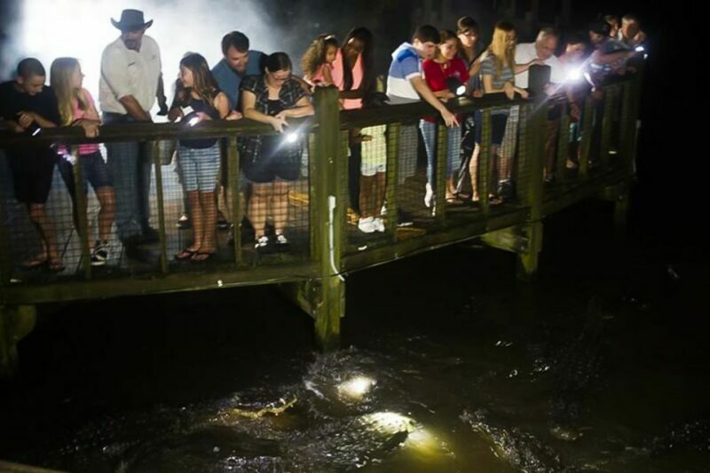 Orlando: Gatorland Flashlight Tour at Night - Who Will Love This Tour?