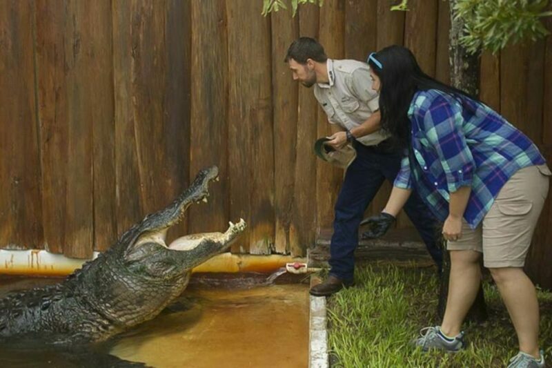 Orlando: Gatorland Interactive Tour with Animal Trainer - What’s It Like to Take the Gatorland Interactive Tour?