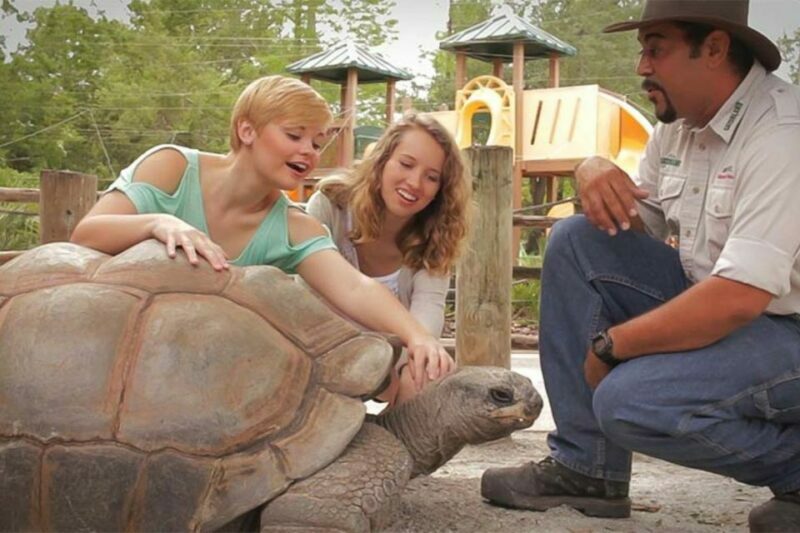 Orlando: Gatorland Interactive Tour with Animal Trainer - Value and Pricing Analysis