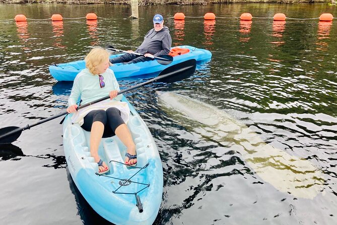 Orlando Manatee and Natural Spring Adventure Tour at Blue Springs - Cancellation Policy and Refunds