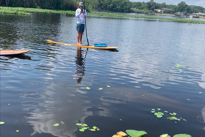 Orlando Manatee and Olde Florida History Adventure Tour - Key Points
