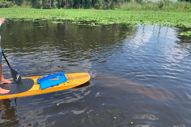 Orlando Manatee and Olde Florida History Adventure Tour - Booking Information