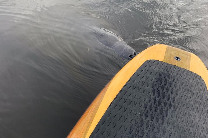 Orlando Manatee and Olde Florida History Adventure Tour - Visitor Experiences