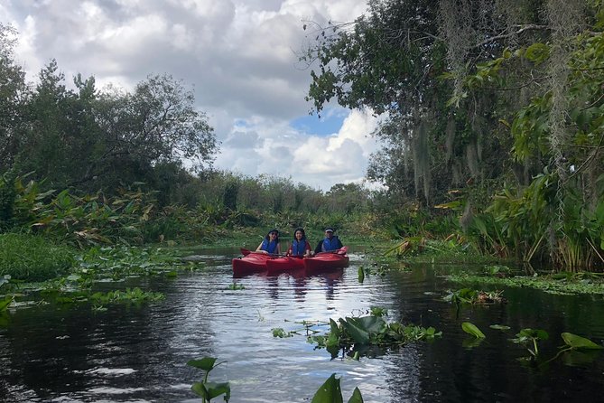 Orlando Manatee Encounters - Highlights of the Experience
