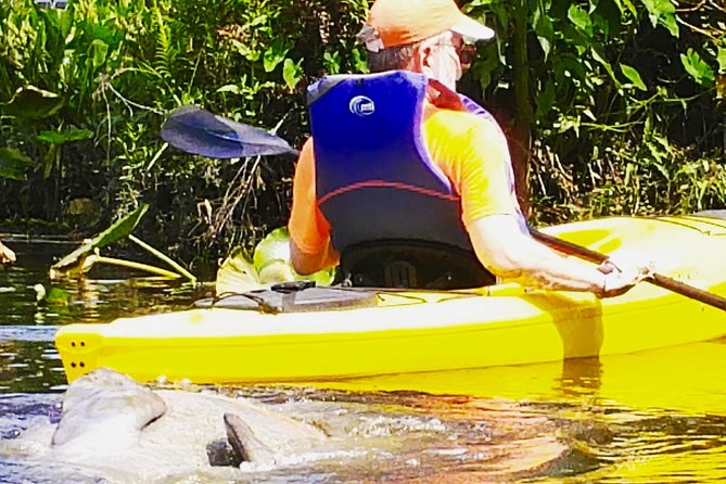 Orlando Manatee Encounters - Tour Details and Duration