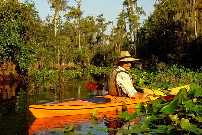 Orlando Manatee Encounters - What to Expect During the Tour