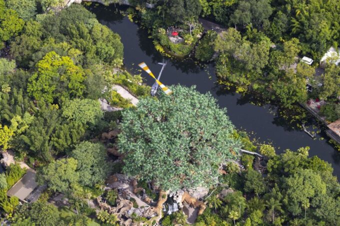 Orlando: Narrated Helicopter Flight Over Theme Parks - Tour Options and Customization