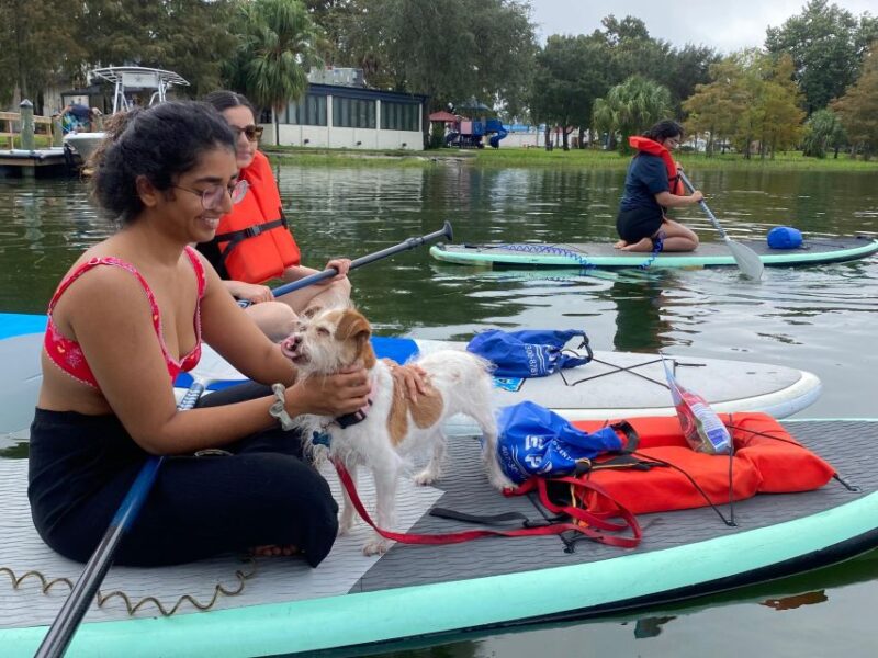 Orlando: Paddle With Pups in Paradise - Paddleboard or Kayak - Location and Safety