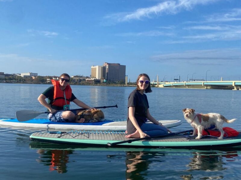 Orlando: Paddle With Pups in Paradise - Paddleboard or Kayak - Included Gear and Accommodations