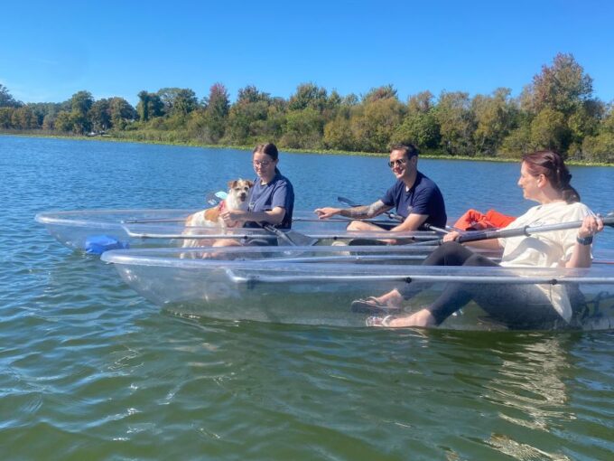 Orlando: Paddle With Pups in Paradise - Paddleboard or Kayak - Frequently Asked Questions