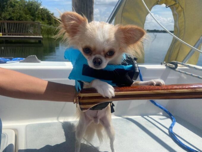 Orlando: Sailing Tour With Certified Sailing Instructor - Preparation Tips