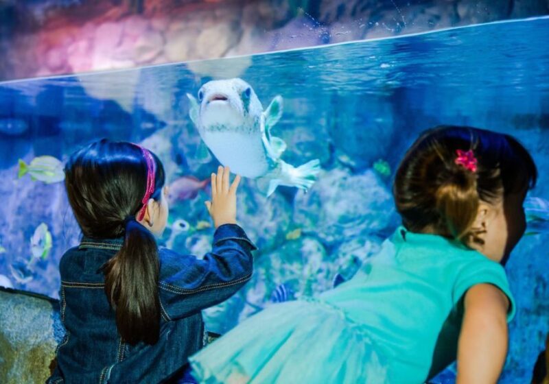 Orlando: SEA LIFE Orlando Aquarium - Accessibility and Amenities