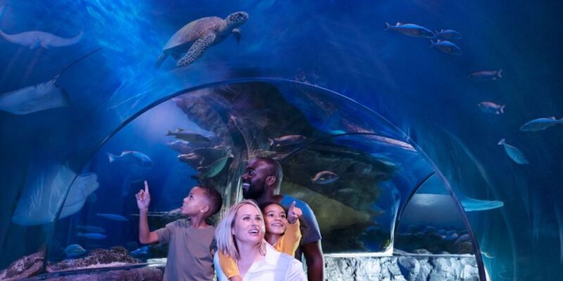 Orlando: SEA LIFE Orlando Aquarium - Customer Ratings and Feedback