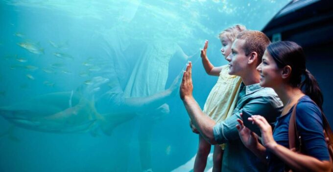 Orlando: SEA LIFE Orlando Aquarium - Frequently Asked Questions