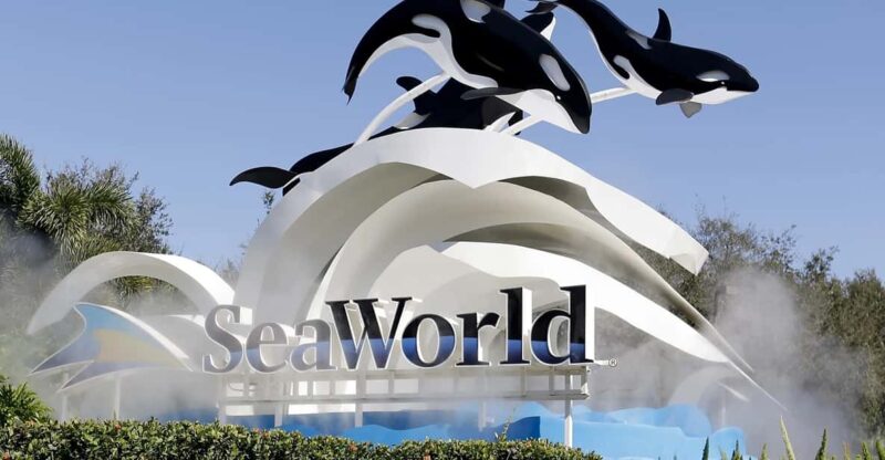Orlando: SeaWorld Shuttle Service - Booking Process