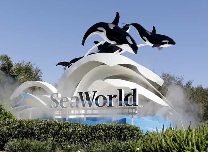 Orlando: SeaWorld Shuttle Service - Transportation Options
