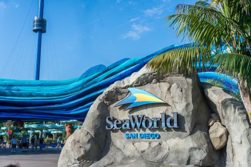 Orlando: SeaWorld Shuttle Service - Amenities Included