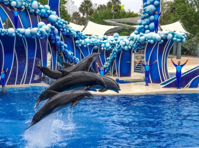 Orlando: SeaWorld Shuttle Service - Frequently Asked Questions