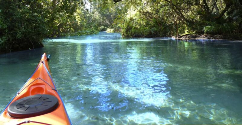 Orlando: Small Group Rock Springs Run Kayak Tour - Tour Experience and Highlights