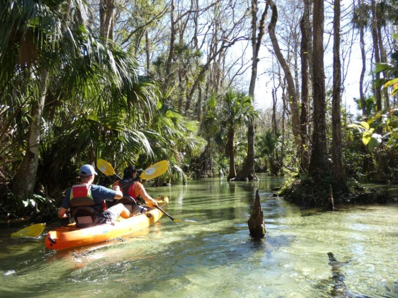 Orlando: Small Group Rock Springs Run Kayak Tour - Group Size and Accessibility