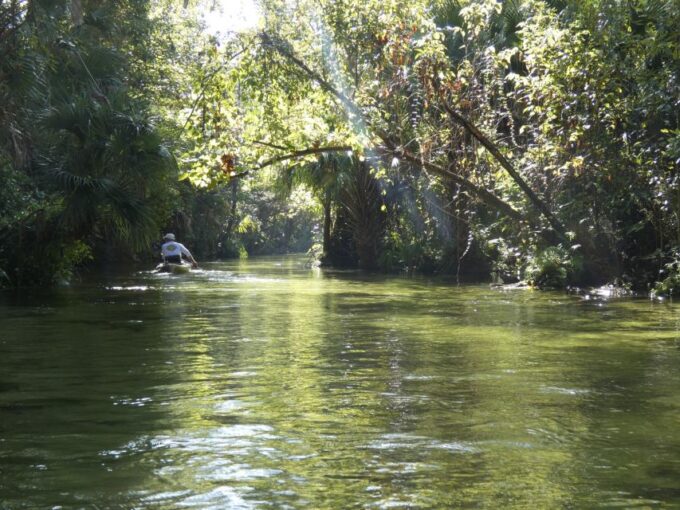 Orlando: Small Group Rock Springs Run Kayak Tour - Exploring Rock Springs Run