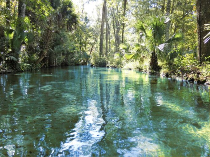 Orlando: Small Group Rock Springs Run Kayak Tour - Frequently Asked Questions