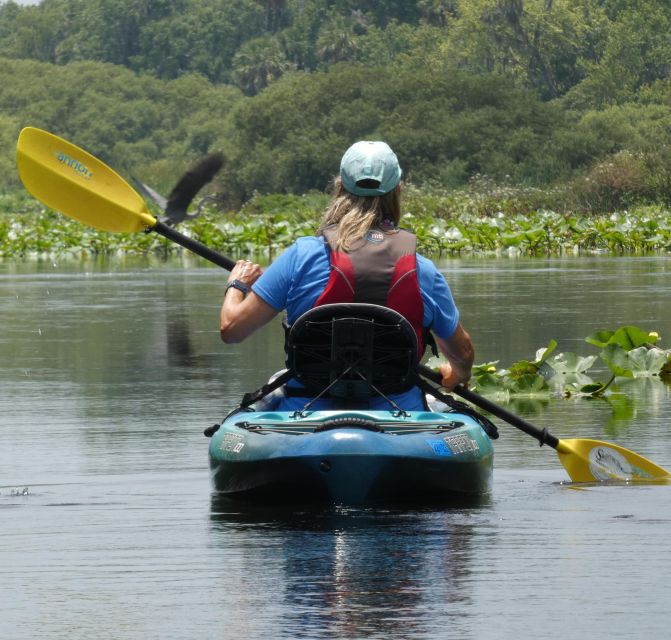 Orlando: Small Group Scenic Wekiva River Kayak Tour - Itinerary and Experience