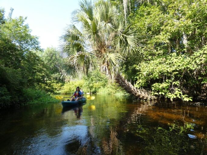 Orlando: Small Group Scenic Wekiva River Kayak Tour - Inclusions and Recommendations