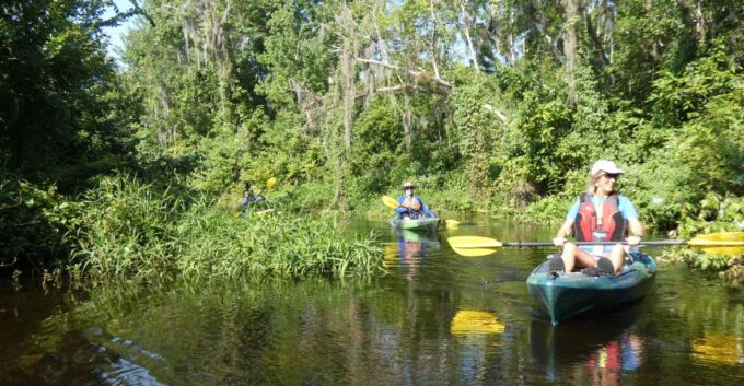 Orlando: Small Group Scenic Wekiva River Kayak Tour - Tour Highlights and Features