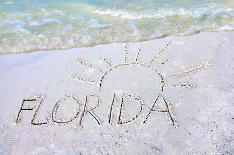 Orlando to Miami Shuttle: One-Way Trip - Transportation Features