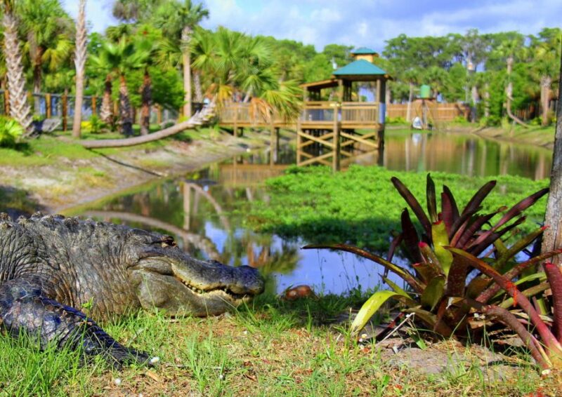 Orlando: Wild Florida Airboat Ride With Transport & Lunch - Pricing and Booking
