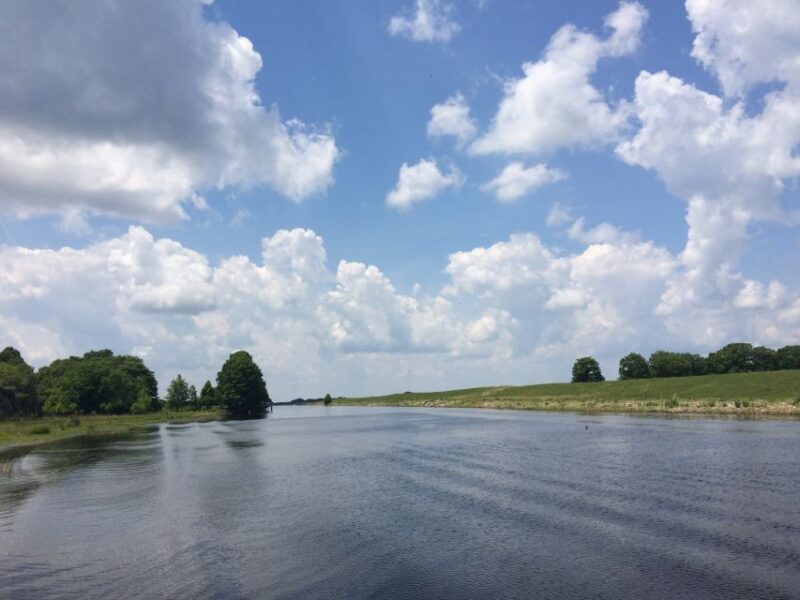 Orlando: Wild Florida Airboat Ride With Transport & Lunch - Live Alligator Demonstrations