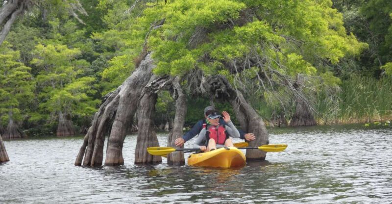 Orlandos Lake Norris: 5-Hour Kayak Explorer Tour With Lunch - Key Points