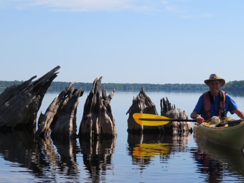 Orlandos Lake Norris: 5-Hour Kayak Explorer Tour With Lunch - Tranquil Cypress Swamp Paddle