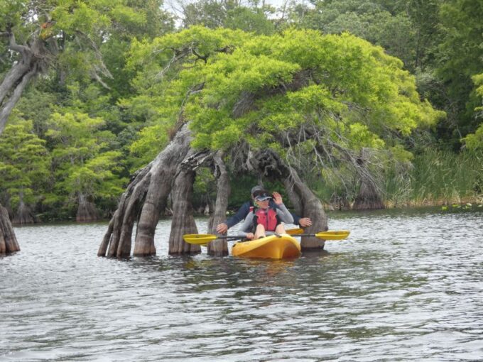 Orlandos Lake Norris: 5-Hour Kayak Explorer Tour With Lunch - Safety and Comfort Prioritized