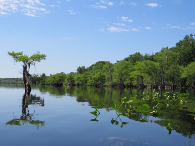 Orlandos Lake Norris: 5-Hour Kayak Explorer Tour With Lunch - Included Amenities and Highlights