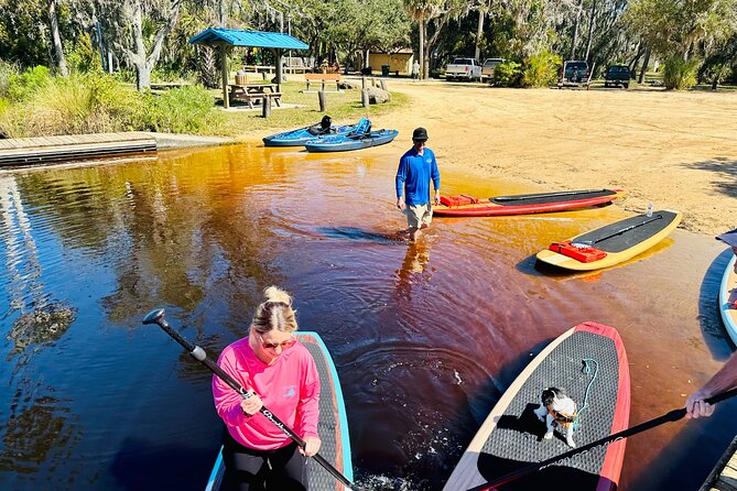 Ormond Beach Manatee and Nature Tour Kayaking or Paddle Boarding - Tour Experience