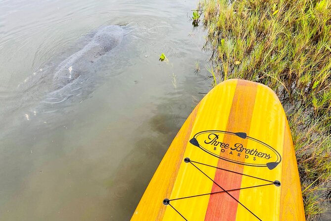 Ormond Beach Manatee and Nature Tour Kayaking or Paddle Boarding - Customer Feedback