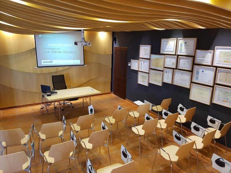 Oro Bailén: Explore the Oil Mill + Tasting - Key Points