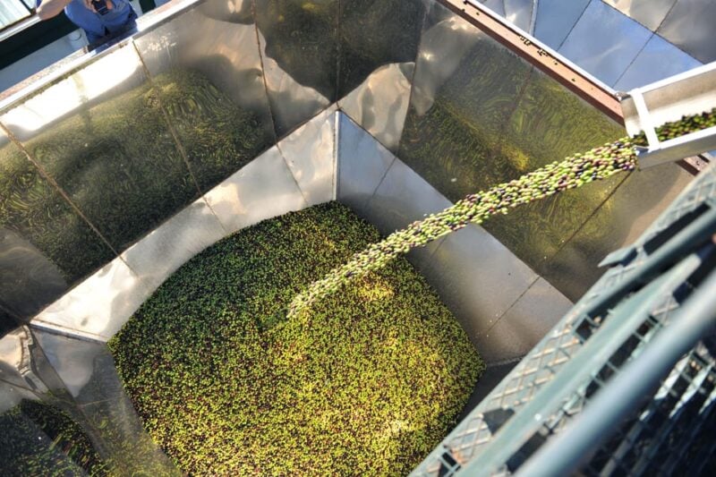 Oro Bailén: Explore the Oil Mill + Tasting - Planning Your Visit