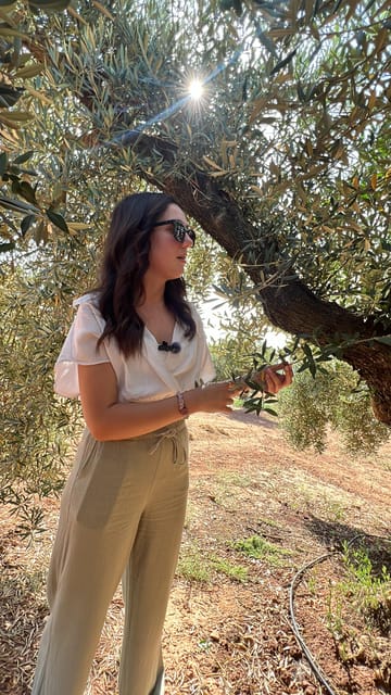 Oro Bailén: Tour of Oro Bailen Grove + Mill + Tasting - Key Points